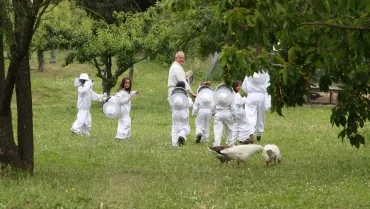 Mercredis de mai 2016
