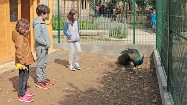 Vacances d'hiver - 23 au 26 mars 2019