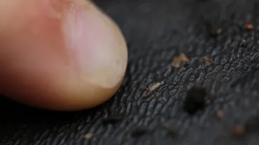 Mercredis de mai 2018