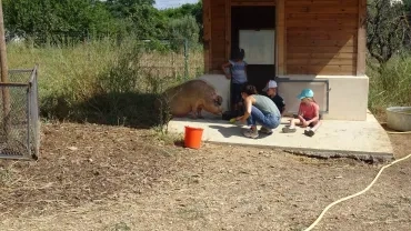 Vacances d'été - 26 au 30 juillet 2021