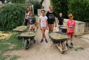 Vacances d'été - 8 au 12 juillet 2019