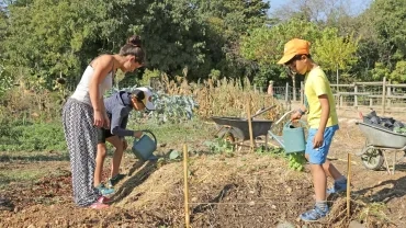 Mercredis de septembre 2018
