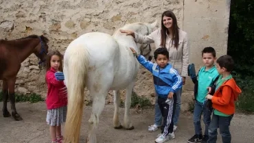 Mercredis de mai 2016