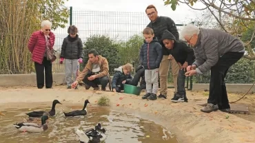Mercredis de novembre 2019