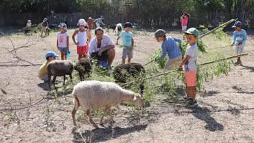 Vacances d'été - 7 au 11 août 2023