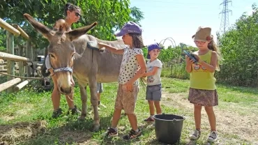Vacances d'été - 12 au 16 juillet 2021