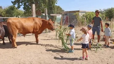 Vacances d'été - 7 au 11 août 2023