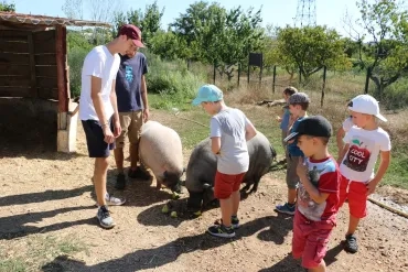 Vacances d'été - 27 au 31 août 2018