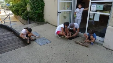 Vacances d'été - 26 au 30 juillet 2021