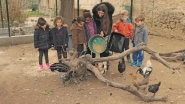 Mercredis de novembre 2019