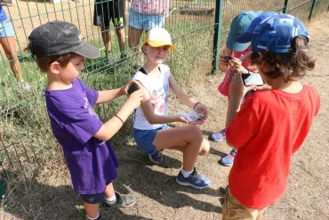 Vacances d'été - 26 au 30 août 2019