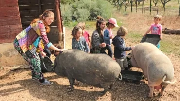 Mercredis de septembre 2019