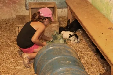 Vacances d'été - 15 au 19 juillet 2019