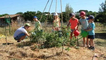 Vacances d'été - 25 au 29 juillet 2016