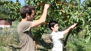 Mercredis de juin 2016