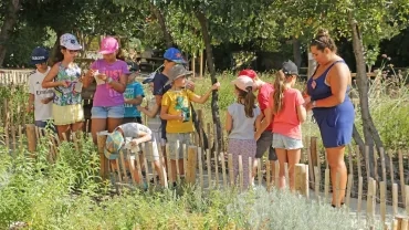 Vacances d'été - 20 au 24 août 2018