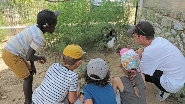 Vacances d'été - 22 au 26 juillet 2019