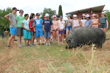 Vacances d'été - 9 au 13 juillet 2018