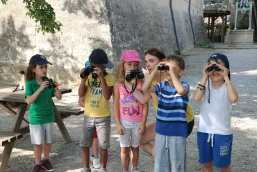 Vacances d'été - 15 au 19 juillet 2019