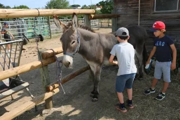 Vacances d'été - 15 au 19 juillet 2019