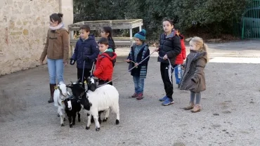 Mercredis de janvier 2017
