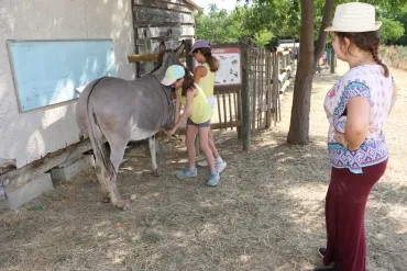 Vacances d'été - 15 au 19 juillet 2019
