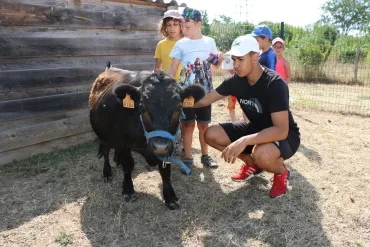 Vacances d'été - 15 au 19 juillet 2019