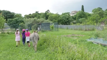 Mercredis de mai 2018