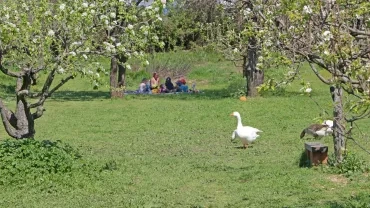 Vacances de printemps - 16 au 20 avril 2018