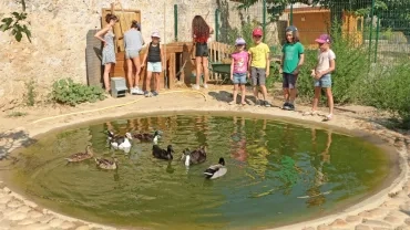 Vacances d'été - 29 juillet au 2 août 2019