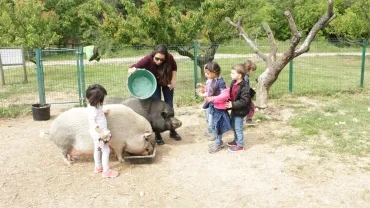 Mercredis de mai 2017
