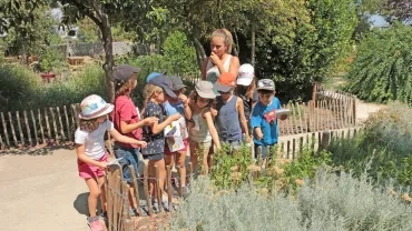 Vacances d'été - 22 au 26 juillet 2019