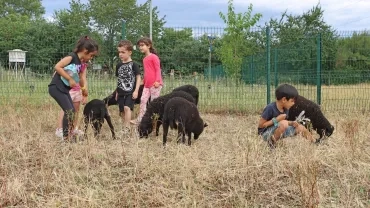 Mercredis de Juin 2022