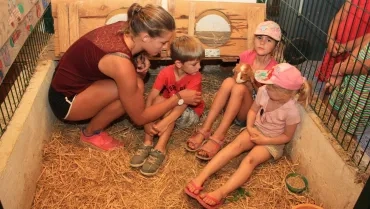 Vacances d'été - 8 au 12 août 2016