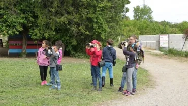 Mercredis de mai 2017
