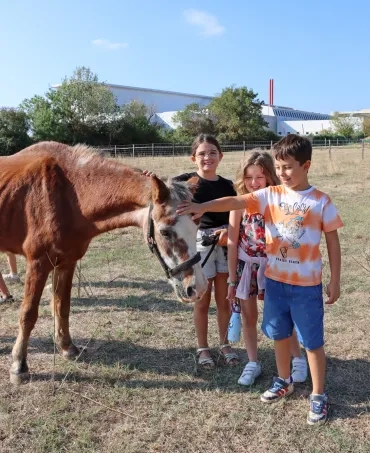 Un groupe d'enfants caresse un cheval