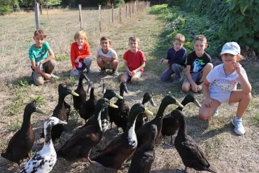 Un groupe d'enfants est derrière un groupe de canards