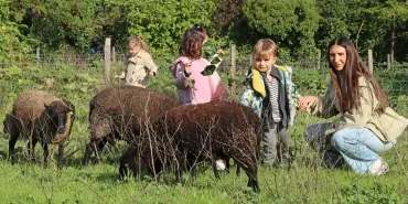 Un groupe d'enfants et leur animatrice caressent des moutons