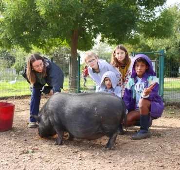 Un groupe d'enfants et leur animatrice sont derrière un cochon