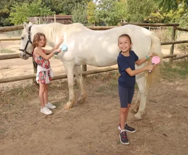 Deux enfants brossent un cheval