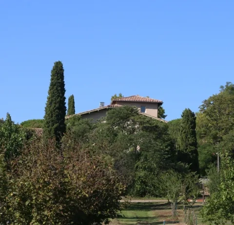 Arbres divers dont des fruitiers avec en arrière plan un batiment de l'Écolothèque