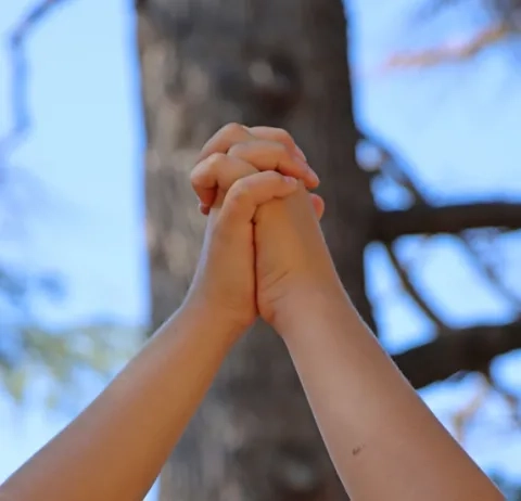 Deux bras d'enfants en l'air se serrant la main devont un tronc d'arbre