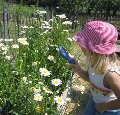 Une fillette observe des fleurs avec une loupe