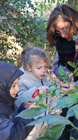 deux enfants et leur animatrice observent une feuille avec une loupe