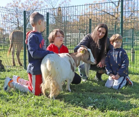 Un groupe d'enfants et leur animatrice caressent une chèvre