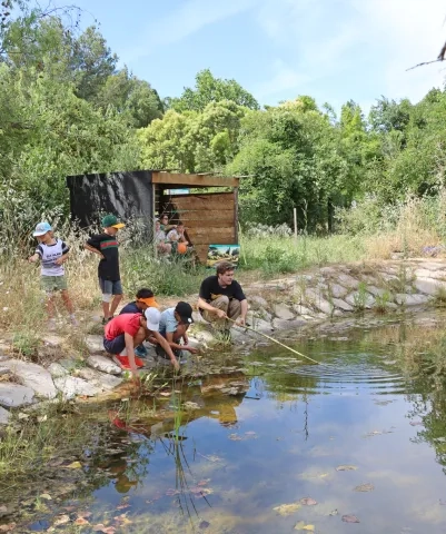 une groupe d'enfants et leur animatrice sont accroupis devant une mare