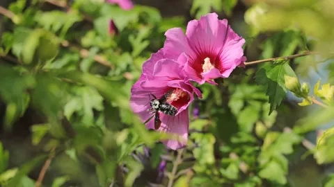 Vacances d'été - 9 au 13 aout