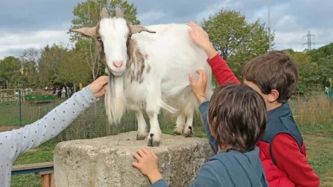 Mercredis d'octobre 2020
