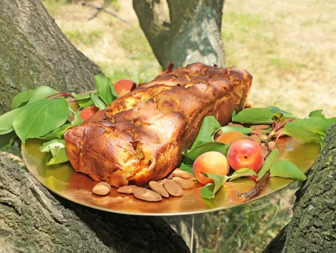 Cake sur une assiette dorée posé dans un arbre avec des abricots et des amandes autour