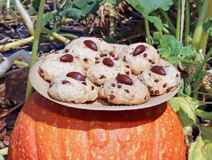 7 cookies dans une assiette posée sur une courge